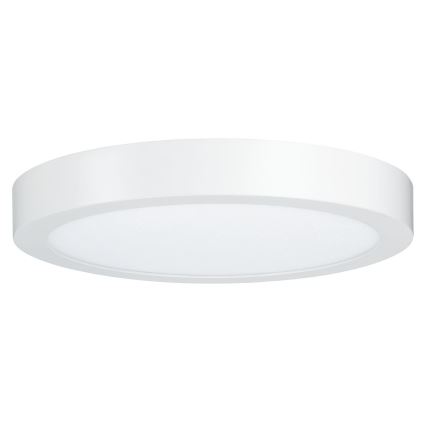 Paulmann 79799 - LED/19W Stropna svjetiljka CARPO 230V 2300/2500/3000K
