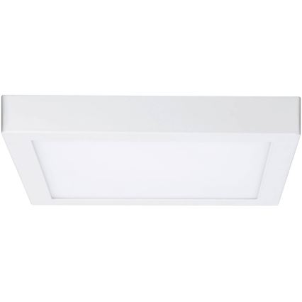 Paulmann 79801 - LED/13W Stropna svjetiljka CARPO 230V 2300/2500/3000K