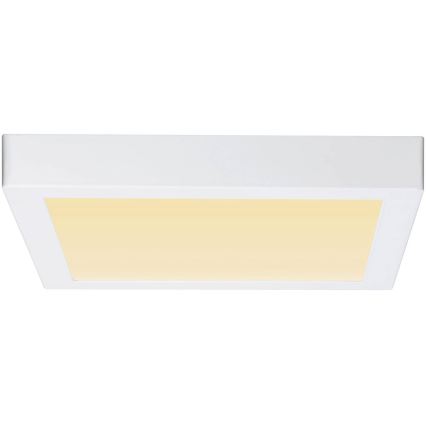 Paulmann 79801 - LED/13W Stropna svjetiljka CARPO 230V 2300/2500/3000K