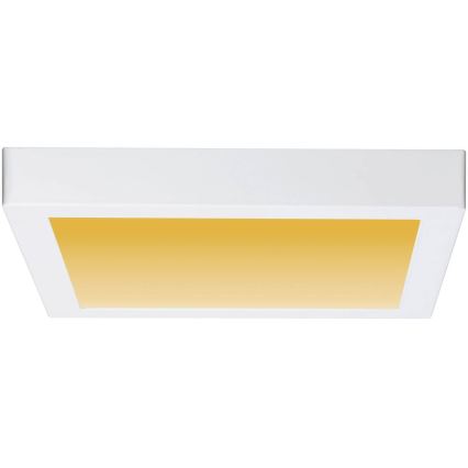 Paulmann 79801 - LED/13W Stropna svjetiljka CARPO 230V 2300/2500/3000K