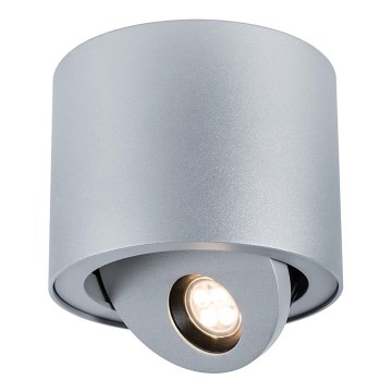 Paulmann 92732 - LED/8,7W IP44 Vanjsko reflektorsko svjetlo za prigušivanje OSTRA 230V