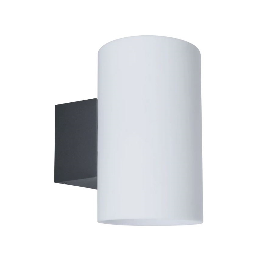 Paulmann 94186 - 1xE27/15W IP54 Vanjska zidna svjetiljka TUBE 230V