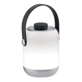 Paulmann 94210 - LED/1,6W IP44 Vanjska prigušiva lampa CLUTCH 3,7V  2000 mAh
