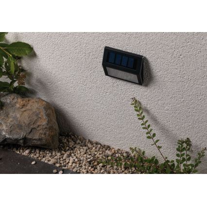 Paulmann 94234 - LED/0,05W IP44 Vanjska solarna svjetiljka sa senzorom DAYTON 1,2V 400 mAh
