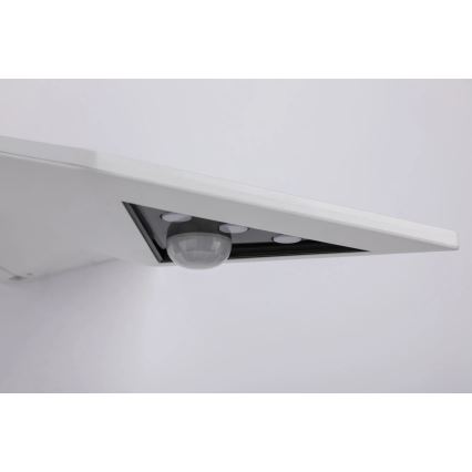 Paulmann 94244 - LED 1,2 W, IP44, solarno zidno svjetlo sa senzorom YOKO, 3,7 V 1800 mAh, bijelo