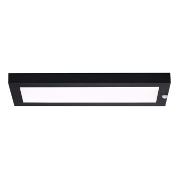 Paulmann 94256_1 - LED/10W IP44 Vanjska stropna svjetiljka sa senzorom 230V