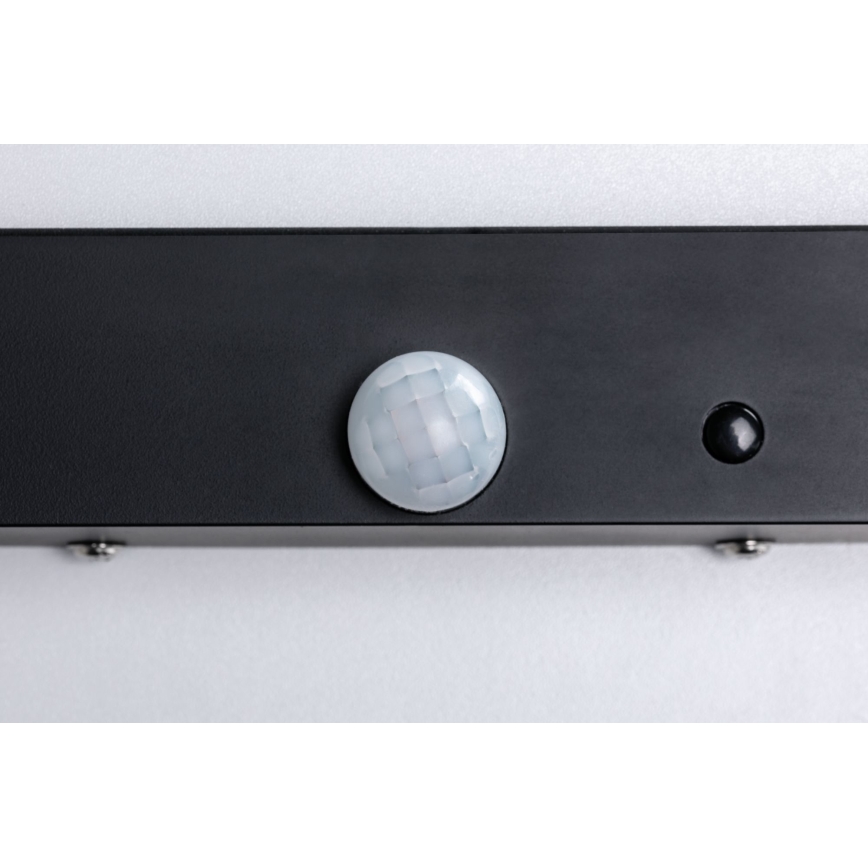 Paulmann 94257_1 - LED/19W IP44 Vanjska stropna svjetiljka sa senzorom 230V