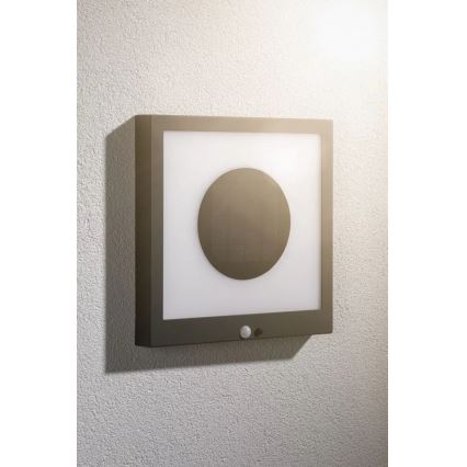 Paulmann 94263 - LED/1,2W IP44 Solarna zidna svjetiljka sa senzorom TAIJA 3,7V