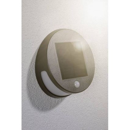 Paulmann 94265 - LED/3W IP44 Vanjska solarna svjetiljka sa senzorom HELENA 3,7V 1800 mAh