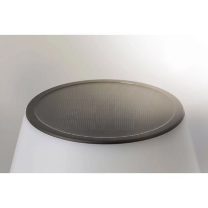Paulmann 94309 - LED/0,8W IP44 Prigušiva solarna lampa LILLESOL 3,7V 2000 mAh