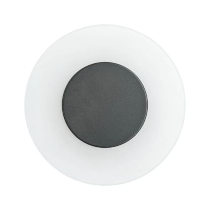 Paulmann 94409 - LED/4W IP44 Vanjska zidna svjetiljka CIRCEA 230V