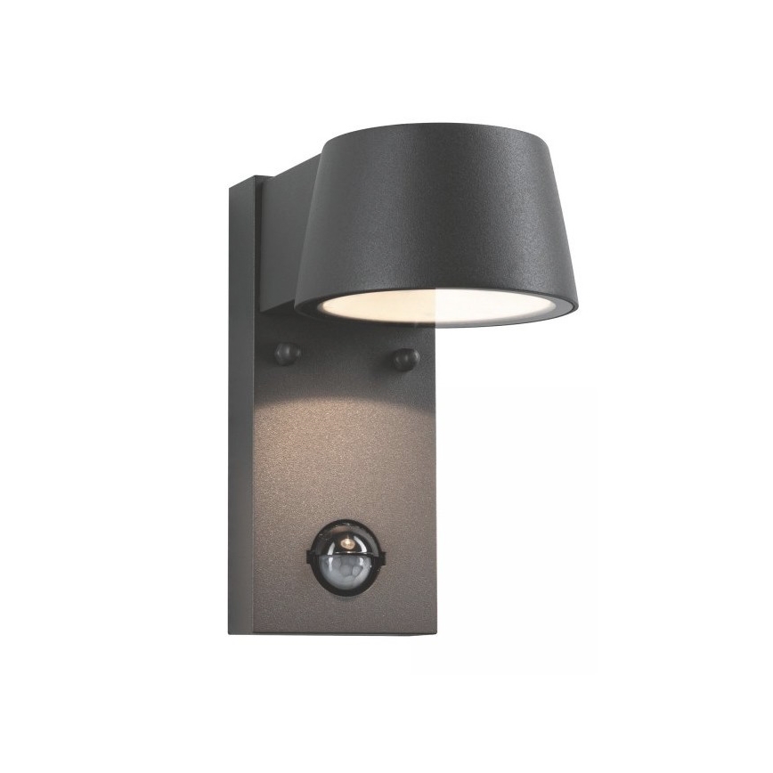 Paulmann 94453 - LED/6W IP44 Vanjska zidna svjetiljka sa senzorom CAPEA 230V