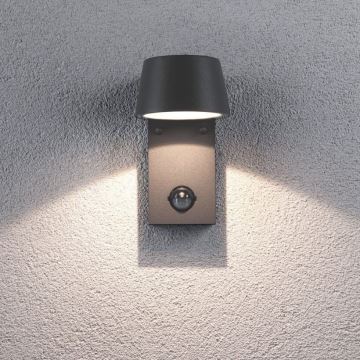 Paulmann 94453 - LED/6W IP44 Vanjska zidna svjetiljka sa senzorom CAPEA 230V