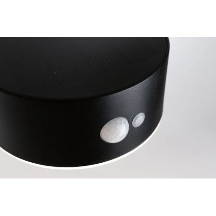 Paulmann 94570 - LED/5,5W IP44 Solarna zidna svjetiljka sa senzorom EILEEN 3,7V 2000 mAh