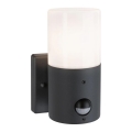 Paulmann 94648 - 1xE27/15W IP44 Vanjsko zidno svjetlo sa senzorom TUBS 230V