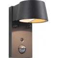 Paulmann 94714 - LED/6W IP44 Vanjsko zidno svjetlo sa senzorom CAPERA 230V 2200/3000K