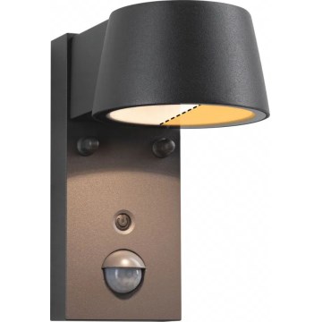 Paulmann 94714 - LED/6W IP44 Vanjsko zidno svjetlo sa senzorom CAPERA 230V 2200/3000K