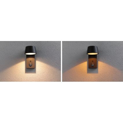 Paulmann 94714 - LED/6W IP44 Vanjsko zidno svjetlo sa senzorom CAPERA 230V 2200/3000K