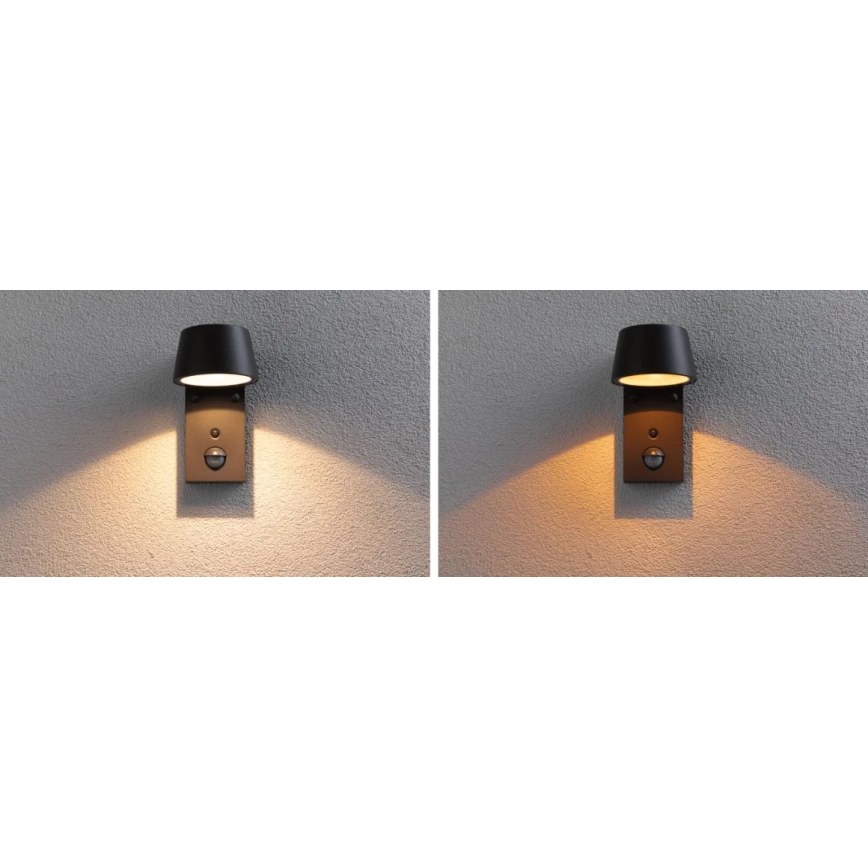 Paulmann 94714 - LED/6W IP44 Vanjsko zidno svjetlo sa senzorom CAPERA 230V 2200/3000K