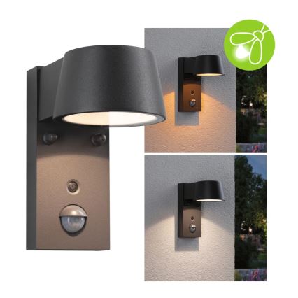 Paulmann 94714 - LED/6W IP44 Vanjsko zidno svjetlo sa senzorom CAPERA 230V 2200/3000K