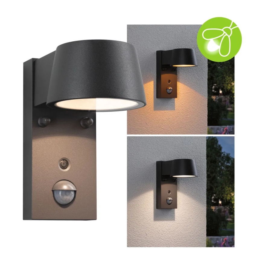 Paulmann 94714 - LED/6W IP44 Vanjsko zidno svjetlo sa senzorom CAPERA 230V 2200/3000K
