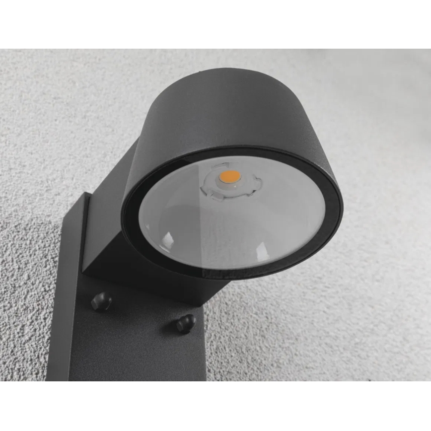 Paulmann 94714 - LED/6W IP44 Vanjsko zidno svjetlo sa senzorom CAPERA 230V 2200/3000K