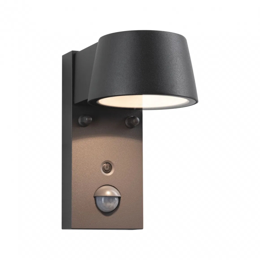 Paulmann 94714 - LED/6W IP44 Vanjsko zidno svjetlo sa senzorom CAPERA 230V 2200/3000K
