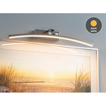 Paulmann 95558 - LED/10W svjetiljka za slike BENTO 230V 50 cm matni krom