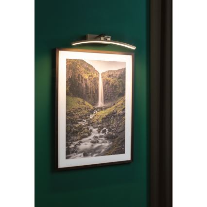 Paulmann 95560 - LED/8,5W Svjetiljka za slike BENTO 230V 40 cm mesing