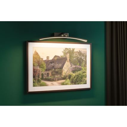 Paulmann 95561 - LED/10W Svjetlo za slike BENTO 230 V, 50 cm, mesing