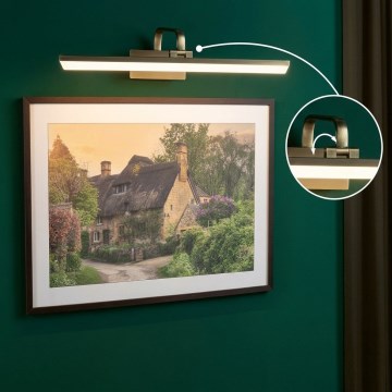 Paulmann 95570 - LED/11W svjetlo za slike RENAN 230 V 60 cm mesing