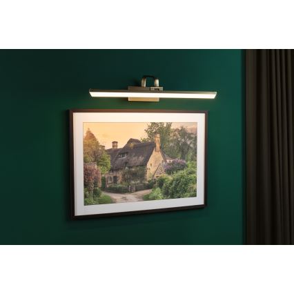 Paulmann 95570 - LED/11W svjetlo za slike RENAN 230 V 60 cm mesing