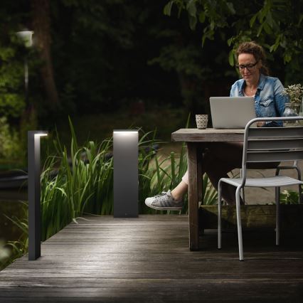 Philips - LED svjetiljka za vanjski rasvjetni stup 2xLED/4,5W