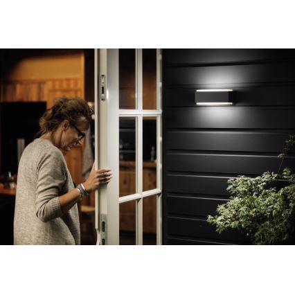 Philips - LED Prigušiva vanjska svjetiljka 2xLED/4,5W IP44