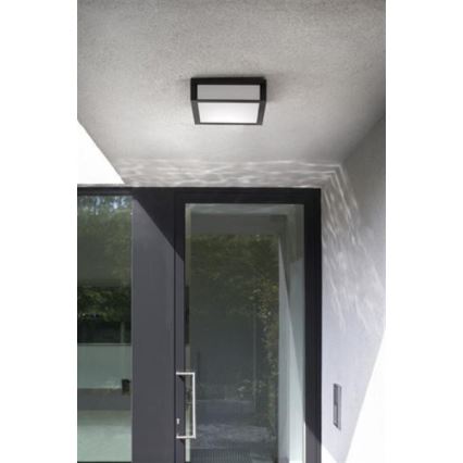 Philips - Vanjska stropna svjetiljka 2xE27/14W/230V IP44