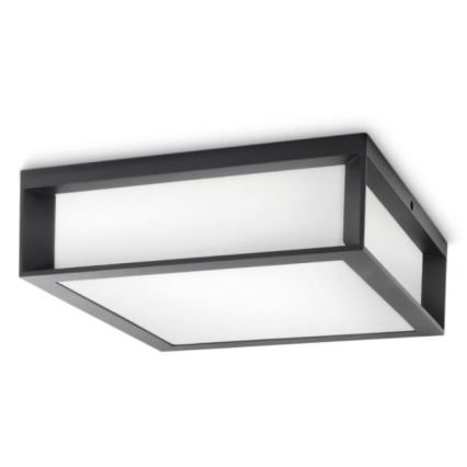 Philips - Vanjska stropna svjetiljka 2xE27/14W/230V IP44
