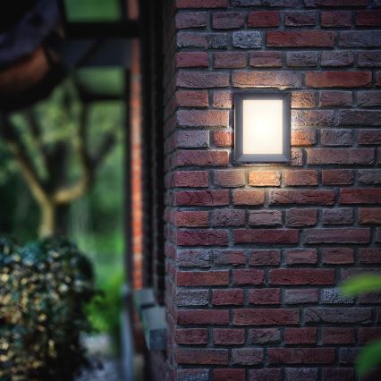 Philips - Vanjsko zidno LED svjetlo/6W/230V IP44