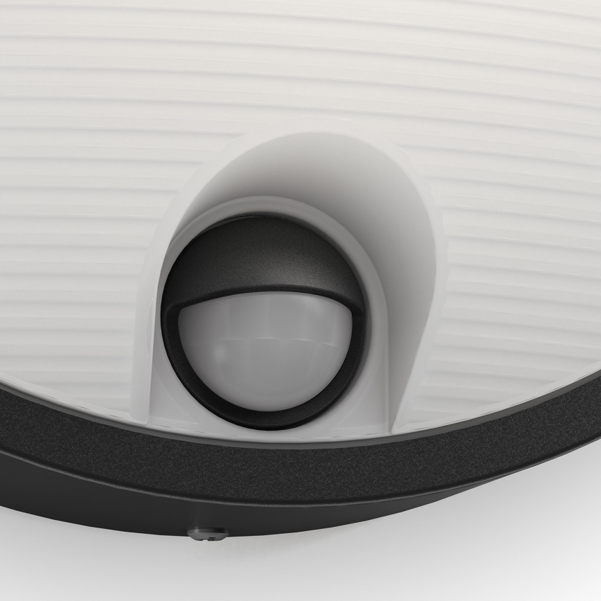 Philips - LED vanjska zidna svjetiljka sa senzorom LED/6W/230V IP44