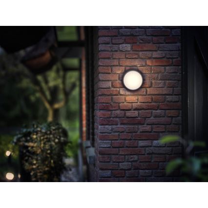 Philips - LED Vanjska svjetiljka 1xLED/3,5W IP44