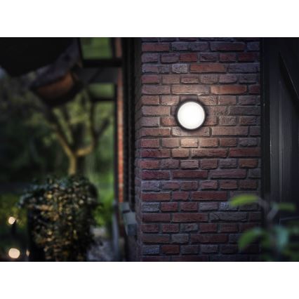 Philips 17304/30/P3 - Vanjska zidna svjetiljka MYGARDEN EAGLE 1xLED/3,5W/230V IP44