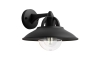 Philips 17381/30/PN - Vanjska zidna svjetiljka COMORANT 1xE27/42W/230V IP44