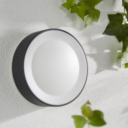 Philips - LED RGBW Prigušiva vanjska zidna svjetiljka Hue DAYLO LED/15W/230V 2000-6500K IP44