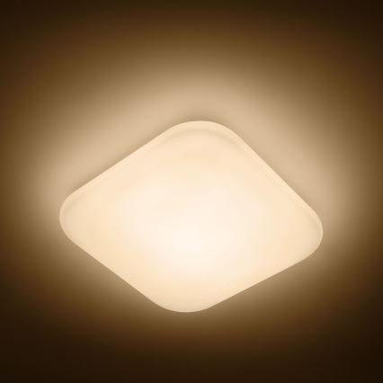 Philips - LED stropna svjetiljka LED/17W/230V 2700K