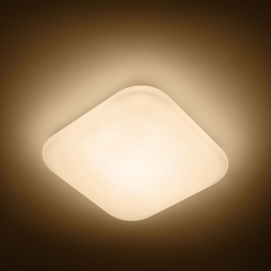 Philips - LED stropna svjetiljka LED/17W/230V 2700K