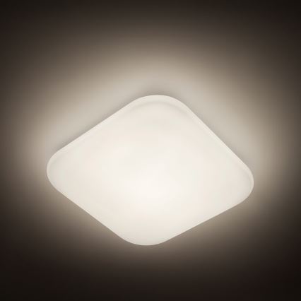 Philips - LED stropna svjetiljka 1xLED/17W/230V 4000K