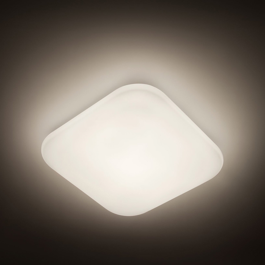 Philips - LED stropno svjetlo LED/17W/230V 4000K