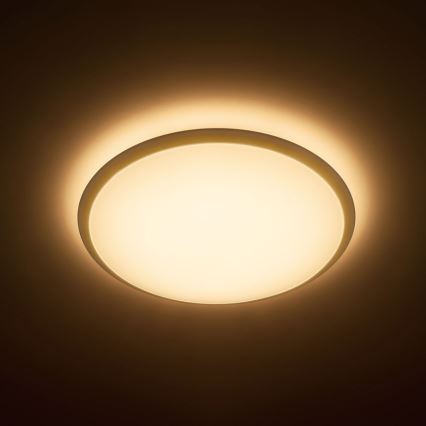 Philips - LED stropna svjetiljka 1xLED/20W/230V