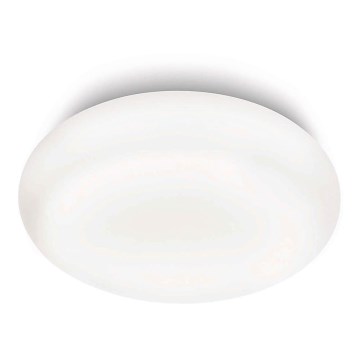 Philips 32067/31/16 - Stropna svjetiljka za kupaonicu MYBATHROOM MIST 2xE27/15W/230V IP44