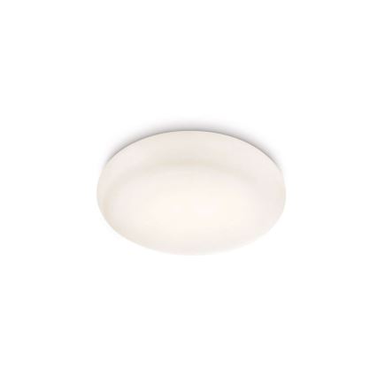 Philips 32067/31/16 - Stropna svjetiljka za kupaonicu MYBATHROOM MIST 2xE27/15W/230V IP44