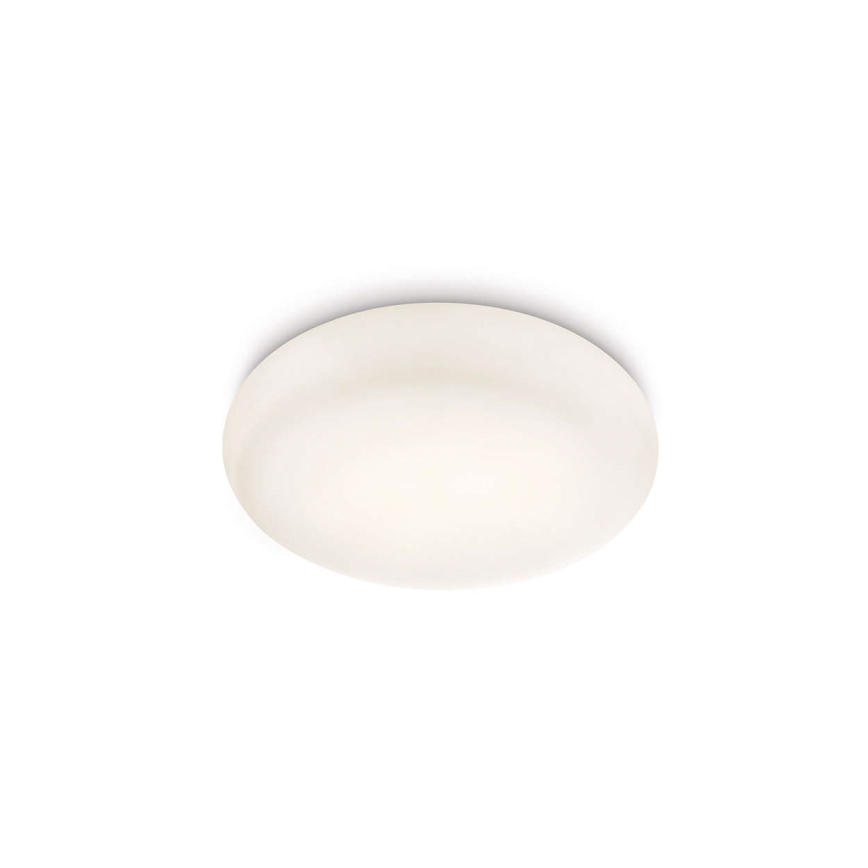 Philips 32067/31/16 - Stropna svjetiljka za kupaonicu MYBATHROOM MIST 2xE27/15W/230V IP44